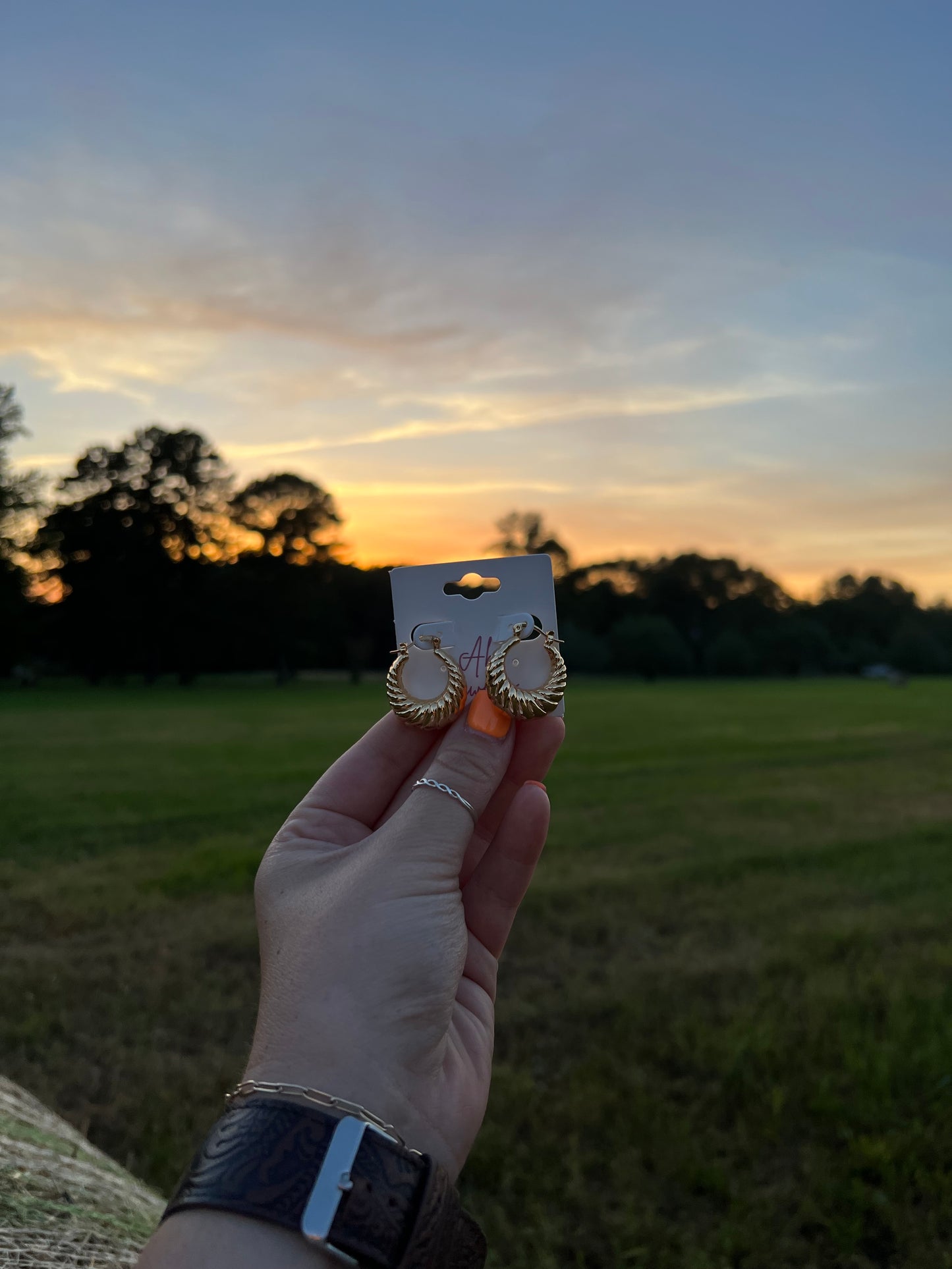 Simple Earrings