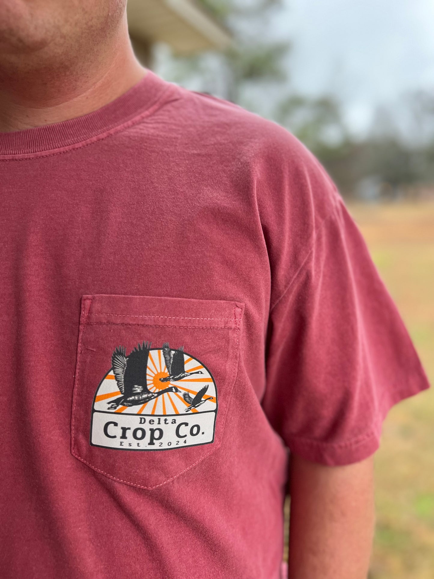Delta Crop Sunrise
