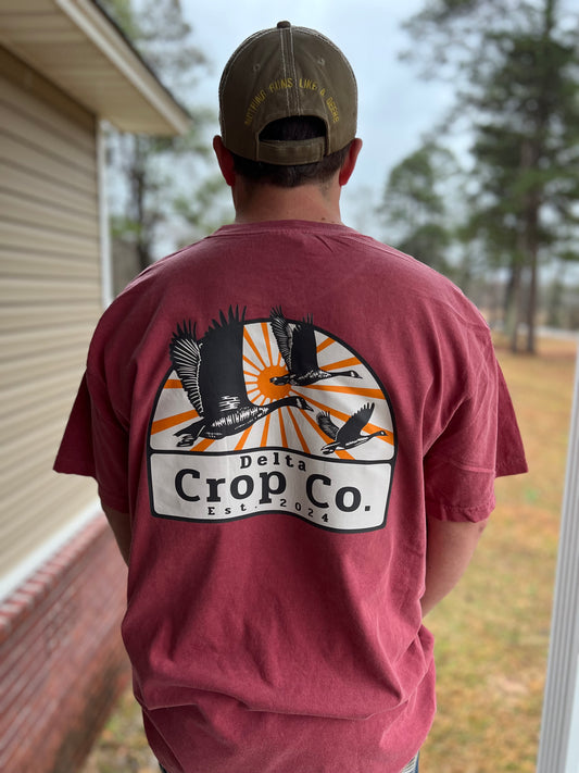 Delta Crop Sunrise